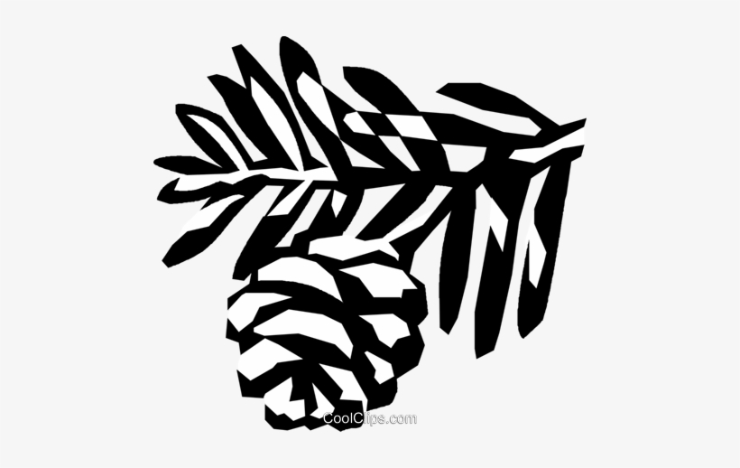 Conifer Royalty Free Vector Clip Art Illustration - Clip Art, transparent png download