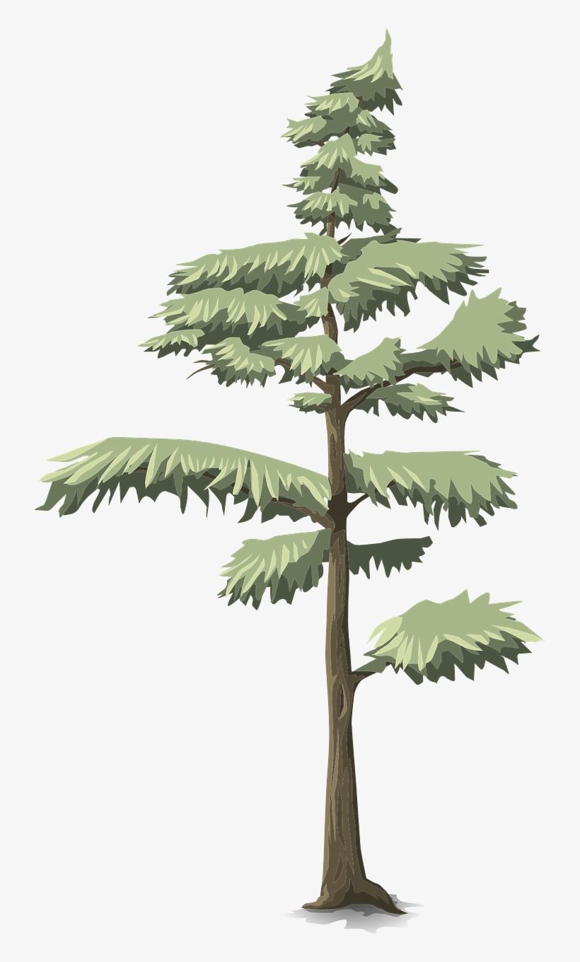 Park, Tree, Conifer, Green, Nature, Forest - Niedliche Rosa Und Blaue Dinosaurier, Spaß, Fleecedecke, transparent png download