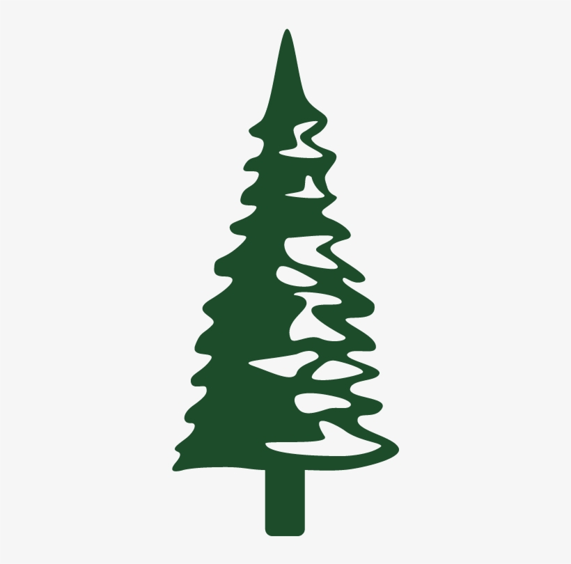 Christmas Tree, transparent png download