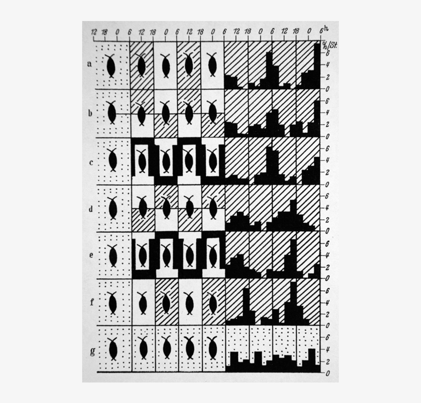 Event Photo - “ - Black-and-white, transparent png download