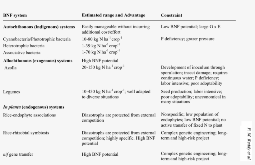 Existing And Futuristic Biological Nitrogen Fixation - Rice P Deficiency, transparent png download