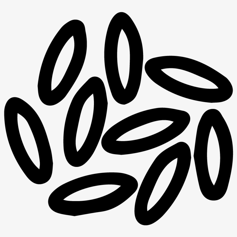 Long Grain Brown Rice Flour - Rice Grain Clip Art, transparent png download