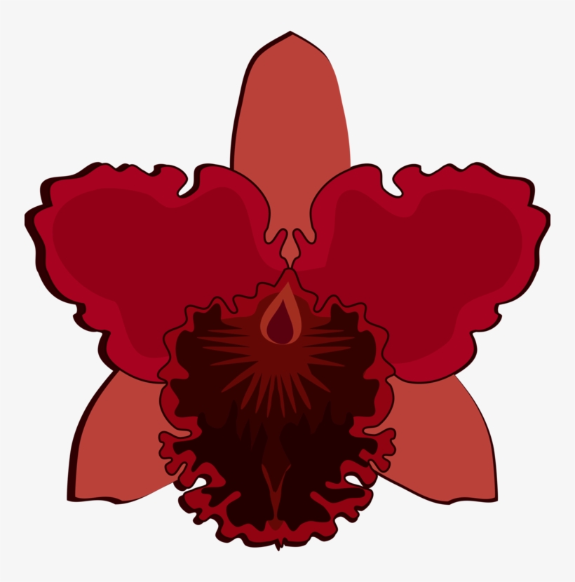 Cattleya Orchids Flowering Plant Moth Orchids Plants - Orchids, transparent png download
