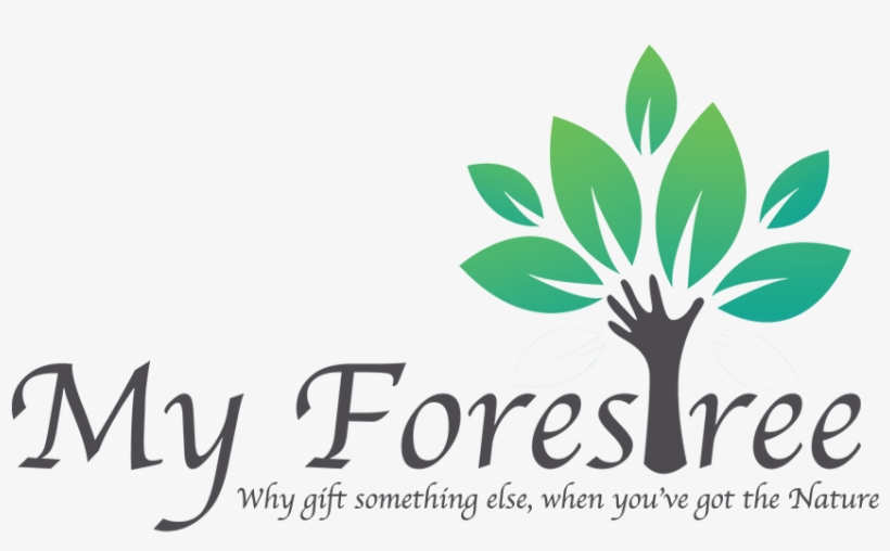 Buy Indoor And Outdoor Plants - Miracle In Progress Greeting Card, transparent png download