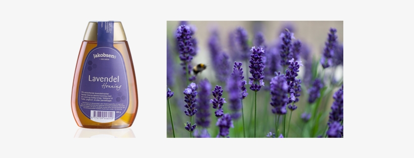 Lavender Honey Can Be Liquid Or Creamy, And Has A Very - Diy Bath And Body Lavender Essential Oil | Barreme, transparent png download