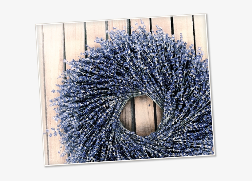 June 23, 10 A - Visual Arts, transparent png download