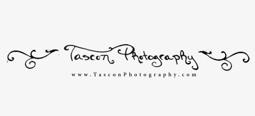 So, I Have Been Known To Do Graphic Design Work When - Pergaminho, transparent png download