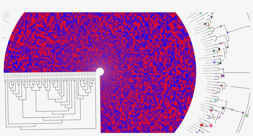 Create High Quality Figures - Tree Of Life, transparent png download