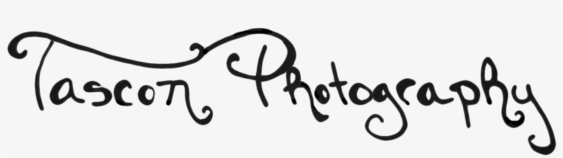 So, I Have Been Known To Do Graphic Design Work When - Calligraphy, transparent png download