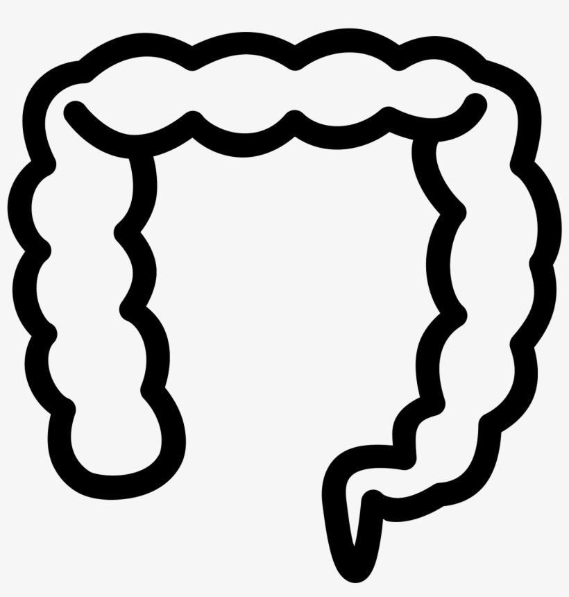 The Image Looks Like A Long Deflated Balloon That Is - Large Intestine Icon, transparent png download