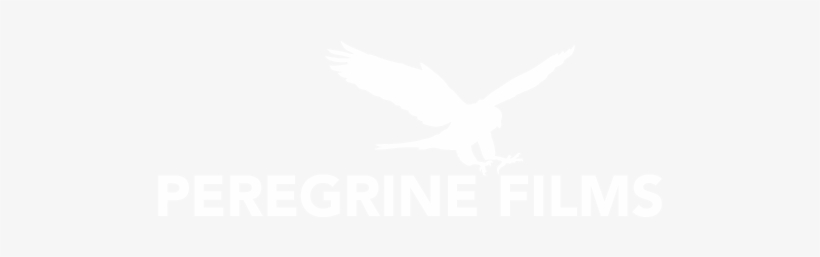 Logo Logo Logo Logo Logo - Ferguson Florissant School District, transparent png download