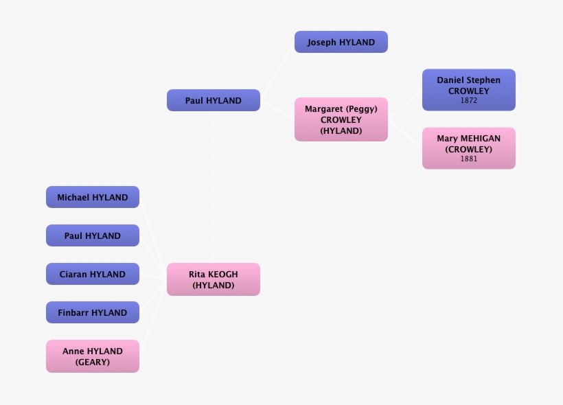 Context - Lilac, transparent png download