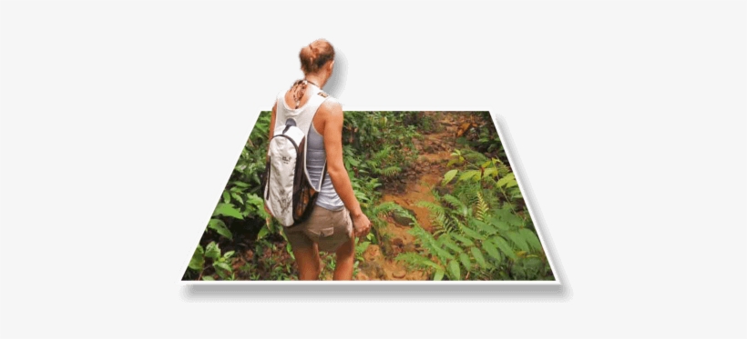 Jungle Trek Belize - Belize, transparent png download