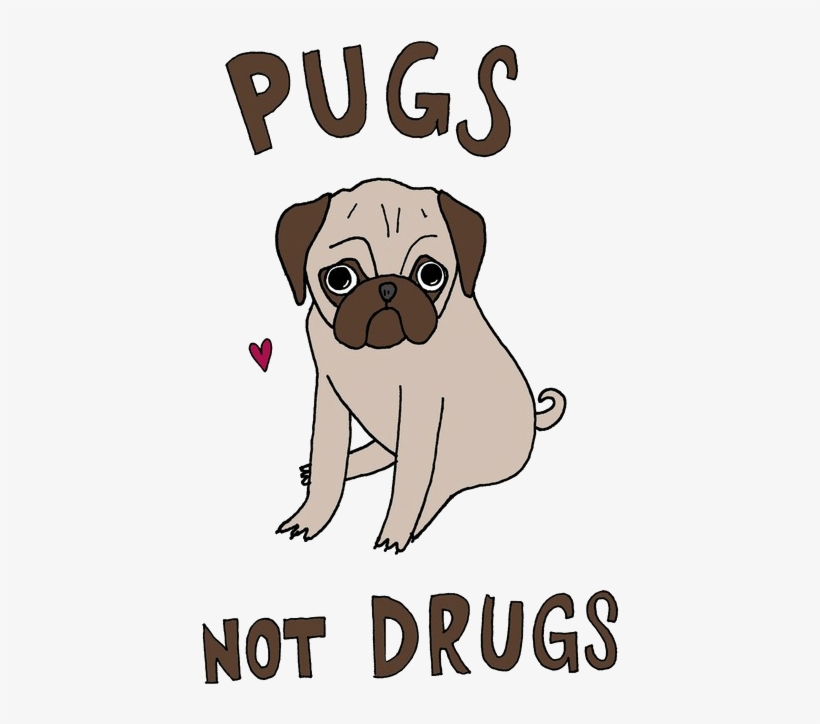 Imagenes Pug Tumblr Png, transparent png download