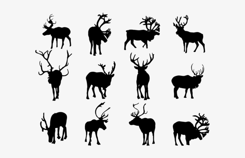 Caribou Walking Silhouette, transparent png download