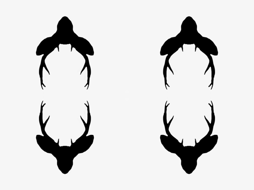 Whale, transparent png download