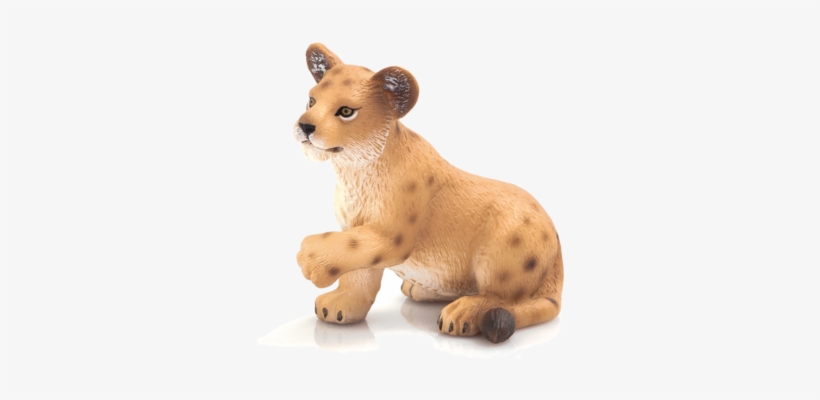 Lion Cub Standing - Lion Cub Playing, transparent png download