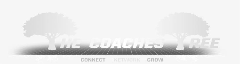 1999 Cincinnati Bearcats - Coaching Tree, transparent png download