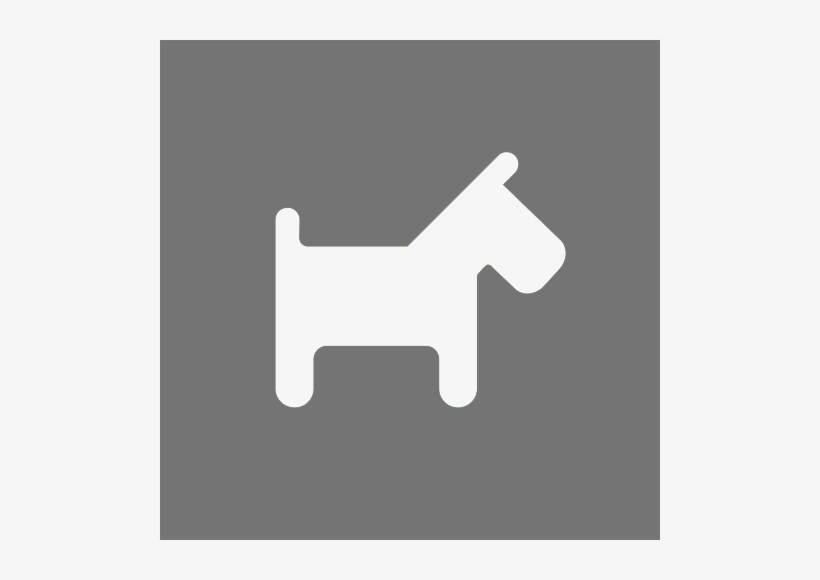 Found Brindle And White Female Dog Australia, transparent png download