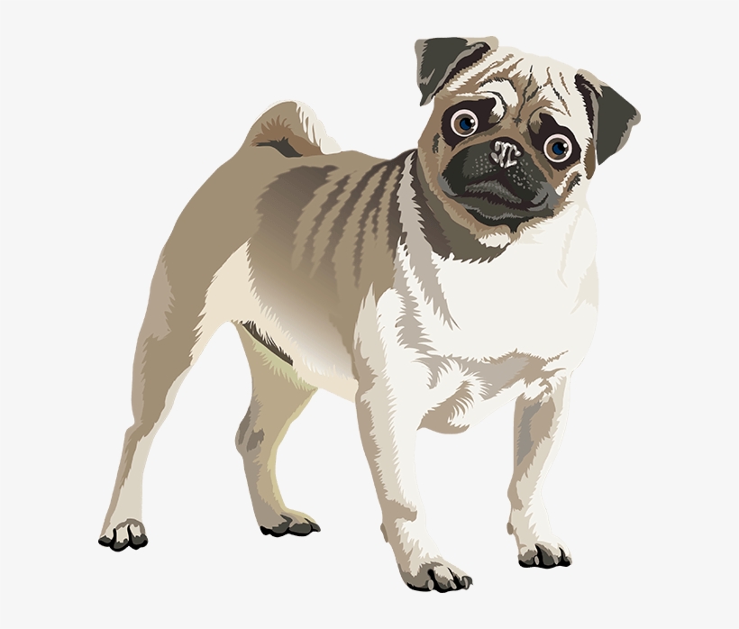 Realistic Dog Art - Dog, transparent png download