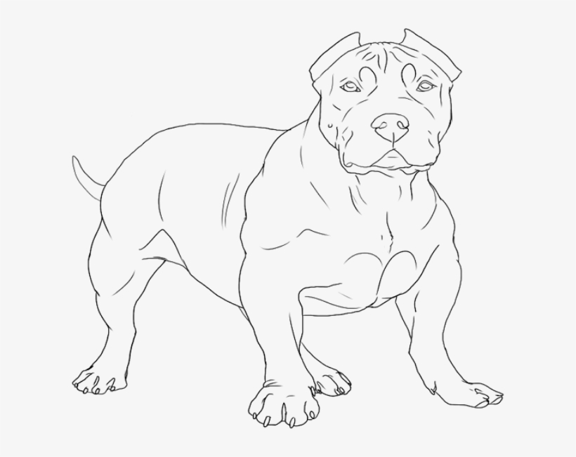 Extreme Puppy Line Art By Cronicbullieskennel - Dog, transparent png download