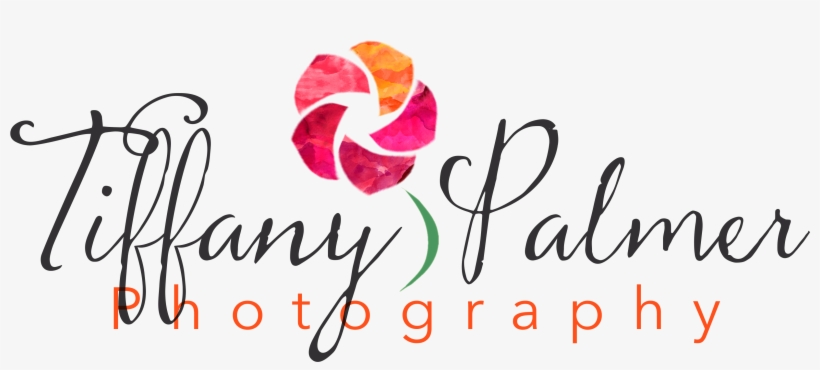 Enter For Your Chance To Win One Free 30-minute Photo, transparent png download