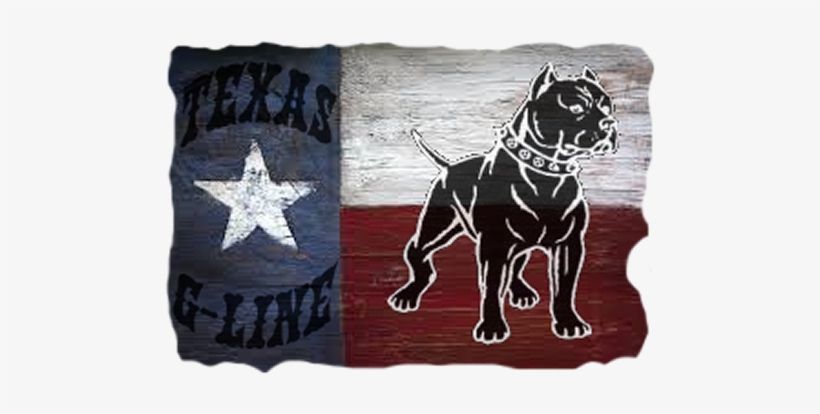 Logo2 - Texas Flag Iphone 7 Case, transparent png download