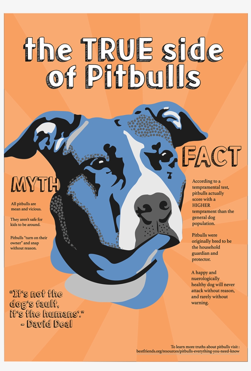 I Chose A Commonly Used And Incorrect Stereotype, That - Companion Dog, transparent png download