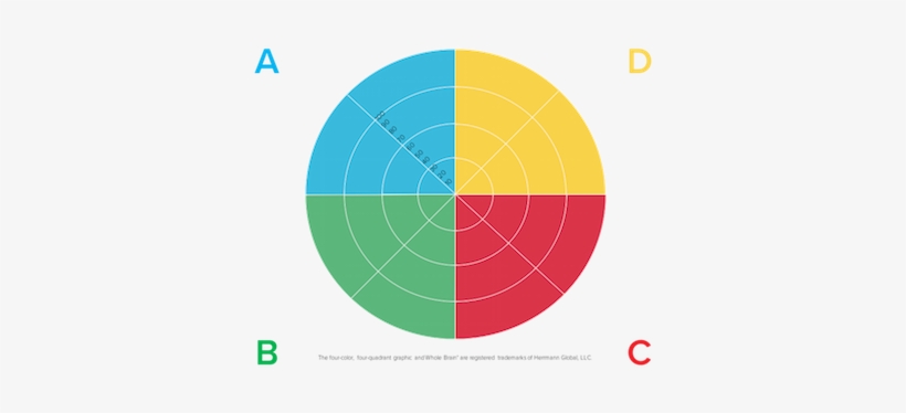 Team-building Reports - Hbdi Profile, transparent png download