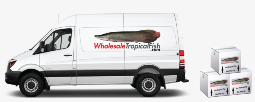 Van - Mercedes Sprinter, transparent png download