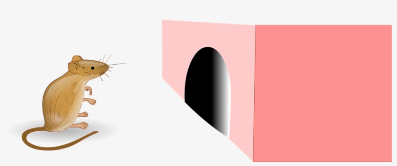 Rat Image In Cartoon Type, transparent png download