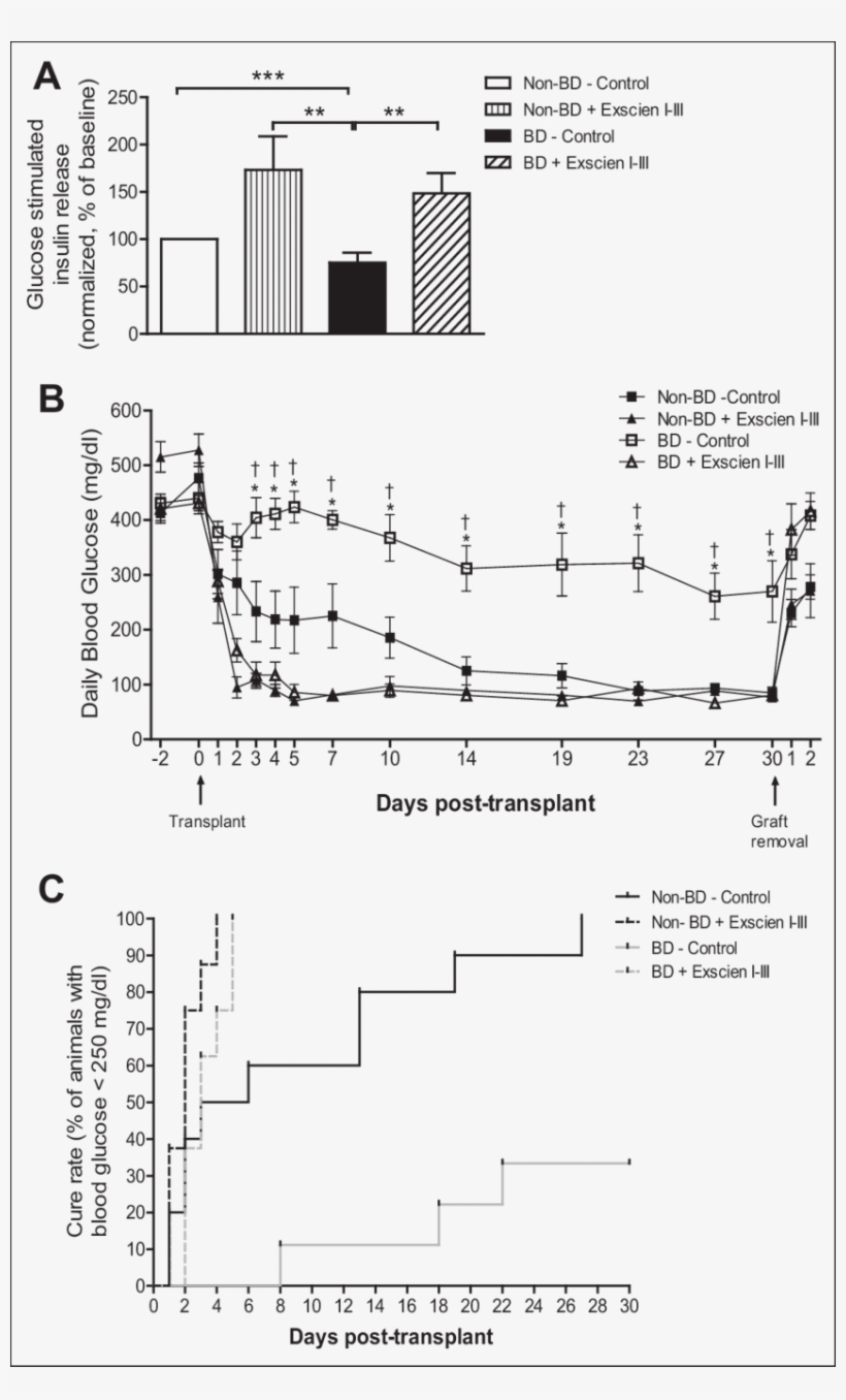 Exscien I Iii Treatment Restores Functional Potency - Diagram, transparent png download