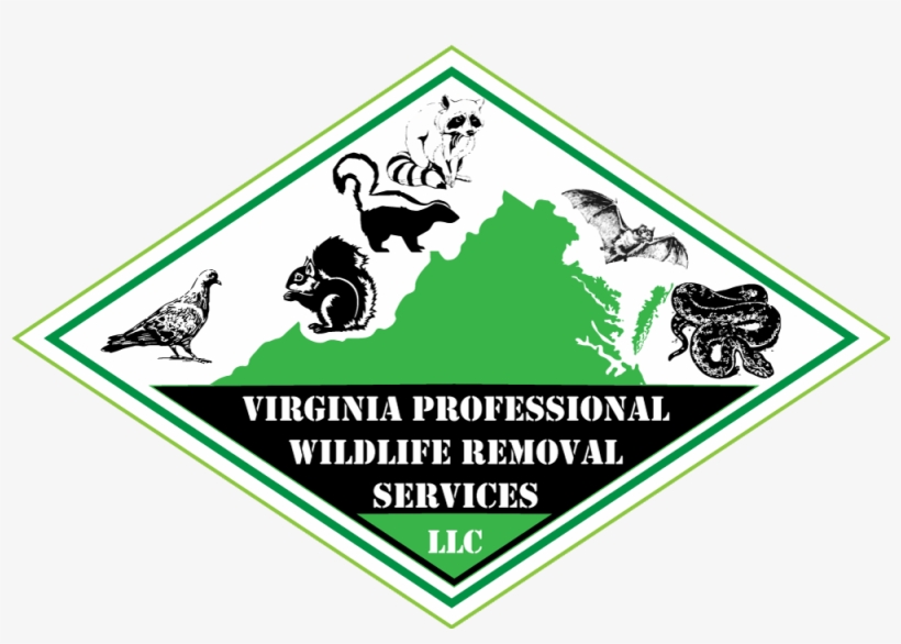 Seismological Attenuation Without Q - Trade Paperback, transparent png download