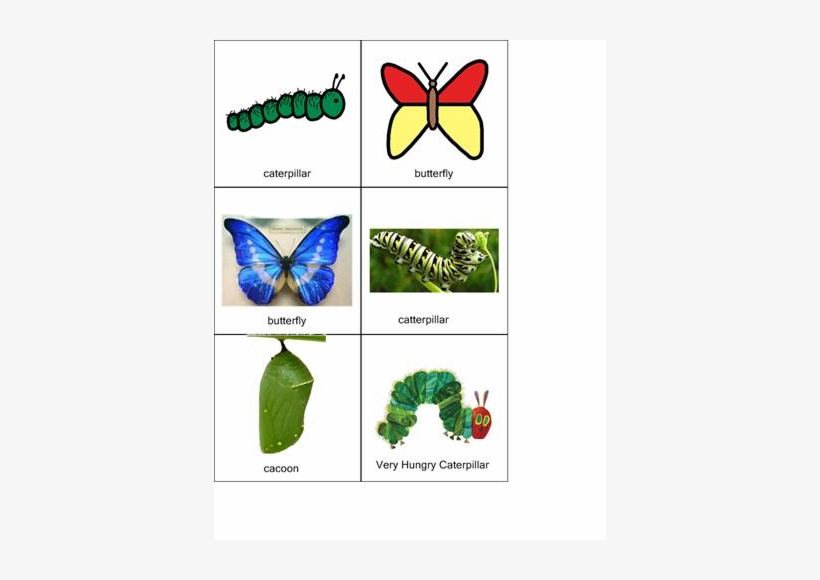 1 / - Very Hungry Caterpillar, transparent png download