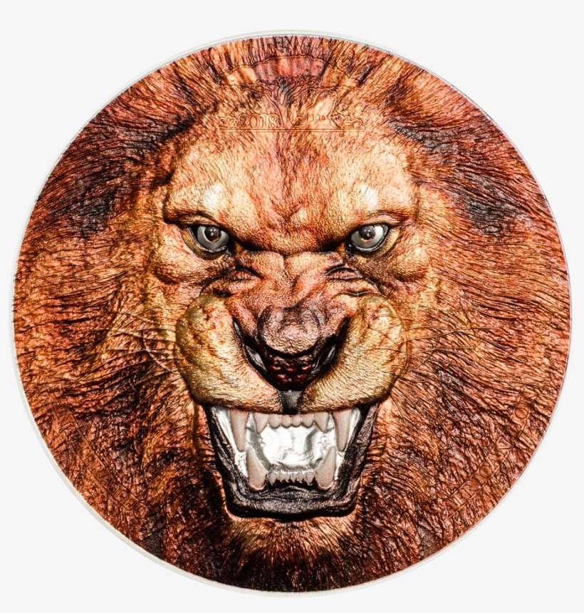 African Lion - Lion, transparent png download
