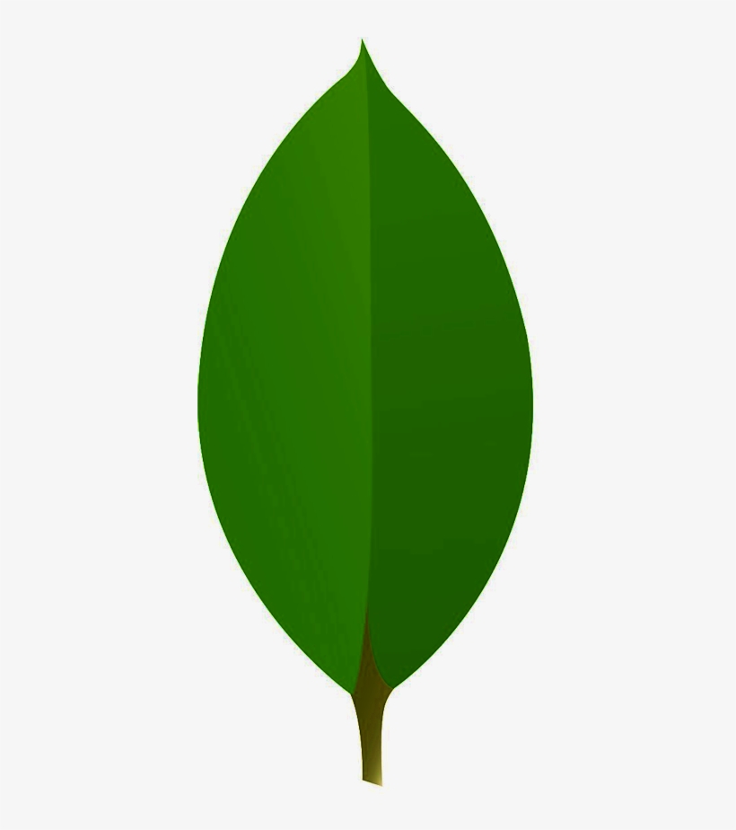 Mongodb Logo 01 - Illustration PNG Image | Transparent PNG Free ...