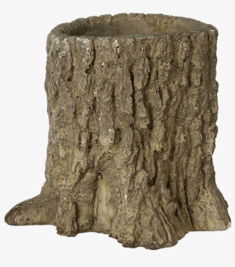 Realistic Tree Stump Prop Set ubicaciondepersonas.cdmx.gob.mx