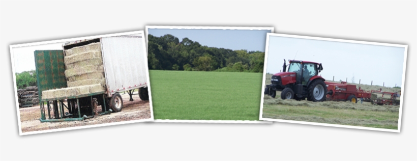 We Can Arrange Delivery For Round Bales Anywhere In - Travel Trailer, transparent png download