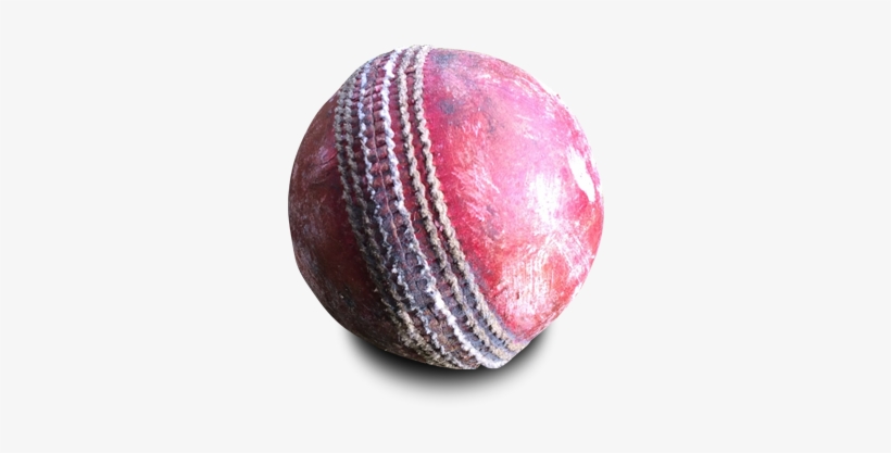 Cricket, transparent png download