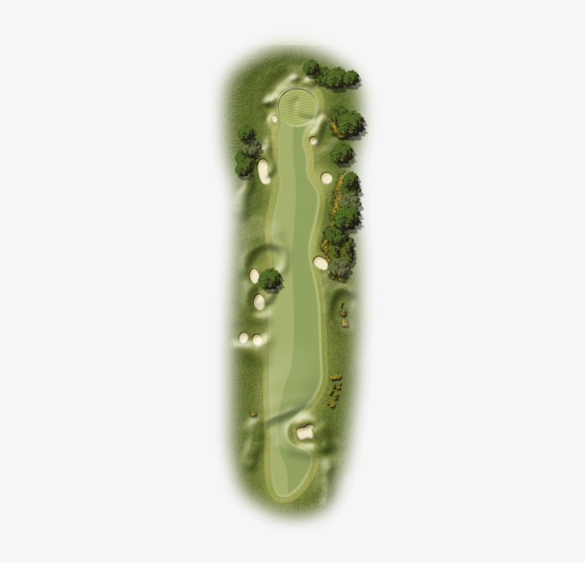View Hole Plan - Tree, transparent png download