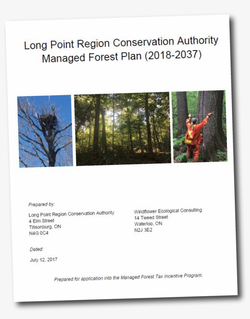 Click To View - Long Point Region Conservation Authority, transparent png download
