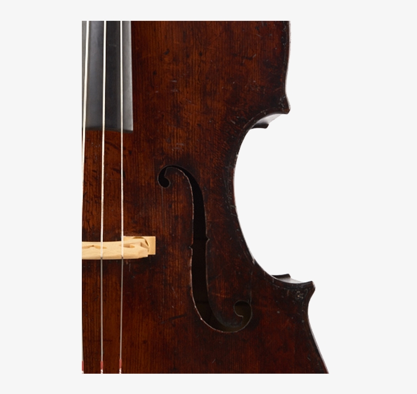 William Forster Double Bass - Viola, transparent png download