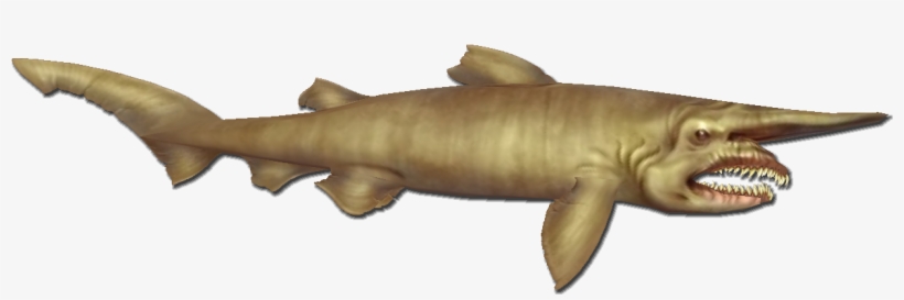 Goblin Shark - Bronze Hammerhead Shark, transparent png download