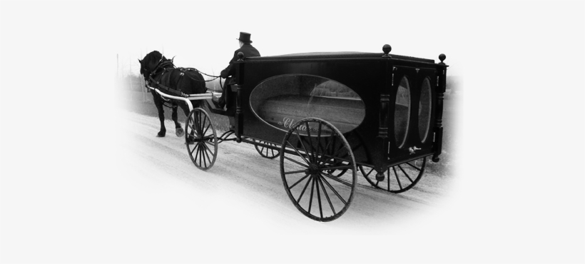Our Horse & Carriage Ride Provides An Elegant, Old - Old Fashioned Horse Carriages, transparent png download