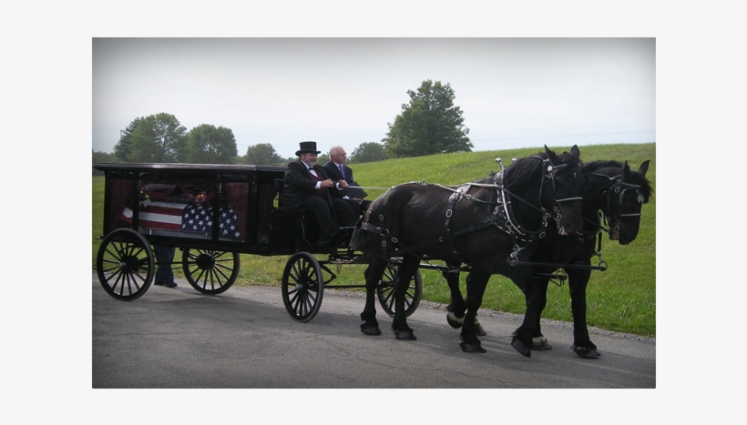 A Horse-drawn Carriage - Horse And Buggy, transparent png download