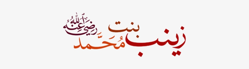 Zainab Bint Muhammad - Love You Zainab, transparent png download