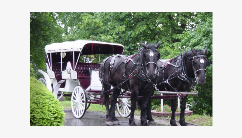 Add Stately Elegance Or Good Old Fashioned Fun With - Duncan Carriages, transparent png download