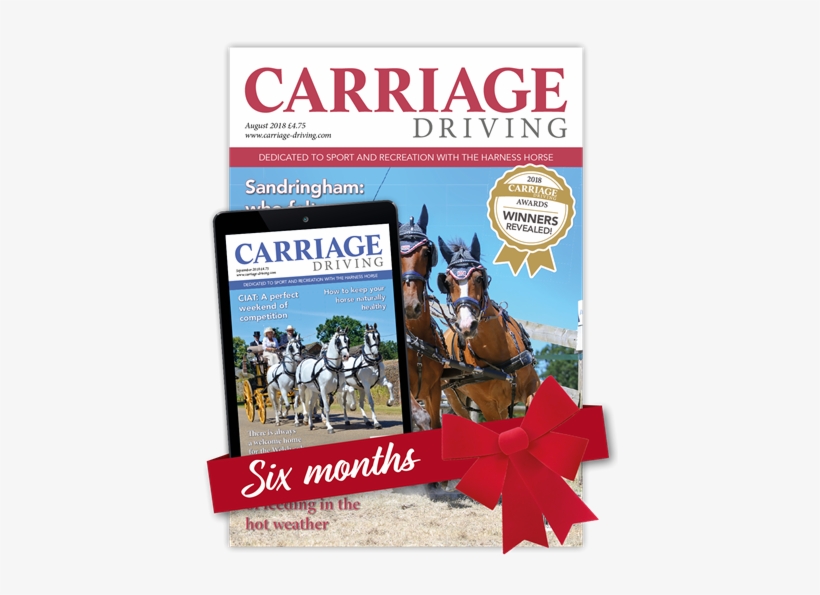 Carriage Driving Christmas 6 Months - Carriage, transparent png download