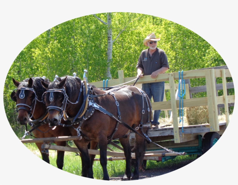 We Are Cathy, Owner, And Partner Roger, Operator, Of - Stallion, transparent png download