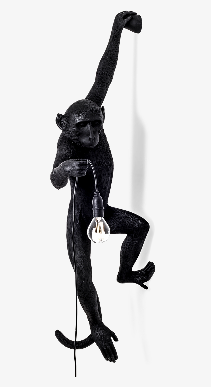 Seletti Outdoor Monkey Lamp, Hanging-0 - Seletti - Monkey Lamp - Hanging - Black, transparent png download